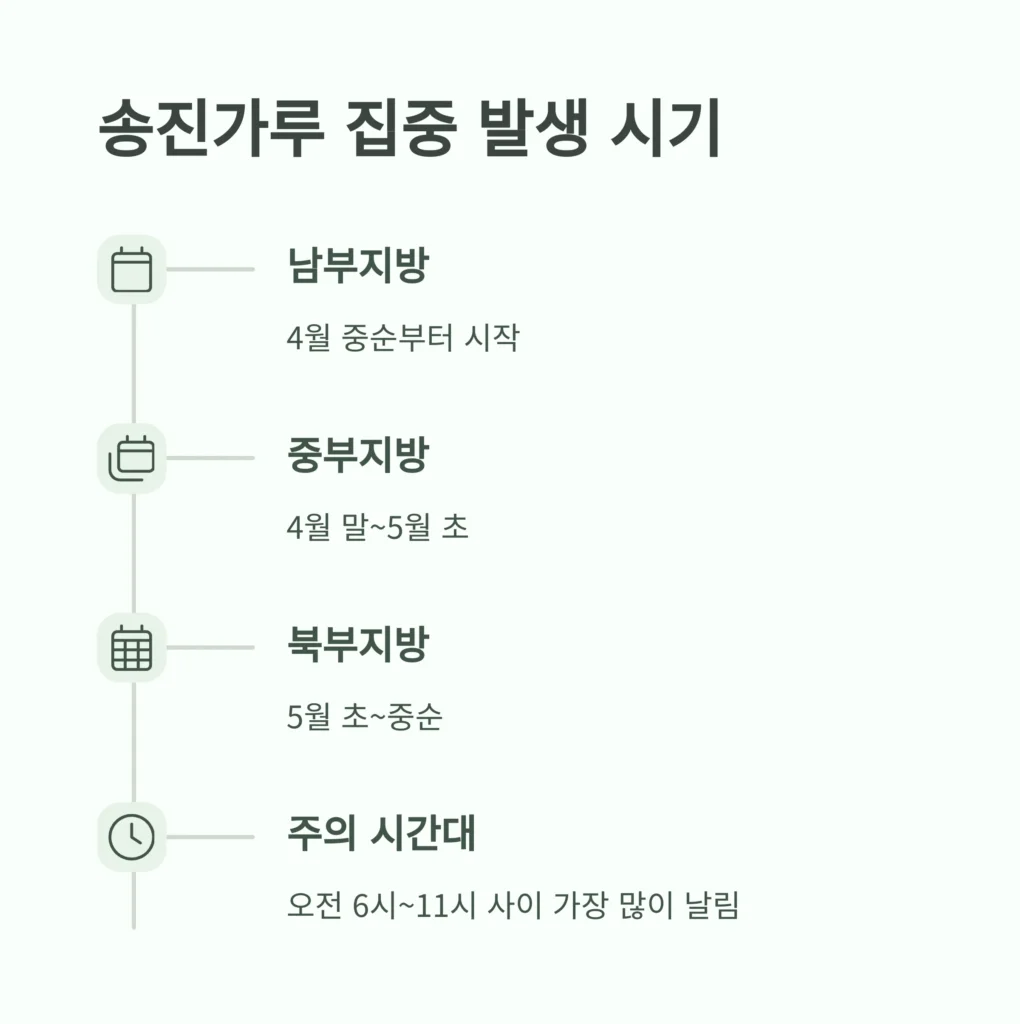송진가루 날리는 시기, 피해방지 방법 4 3