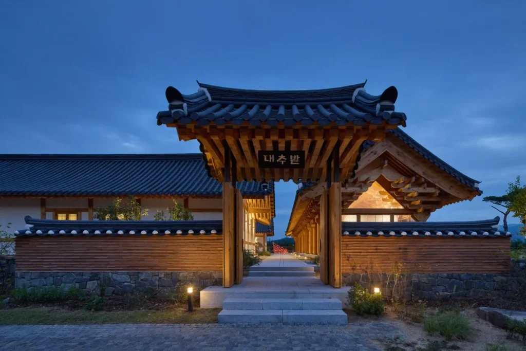 동상이몽 경주 대추밭백한의원 예약하는 방법, 오픈런 성공 후 진료 6 5