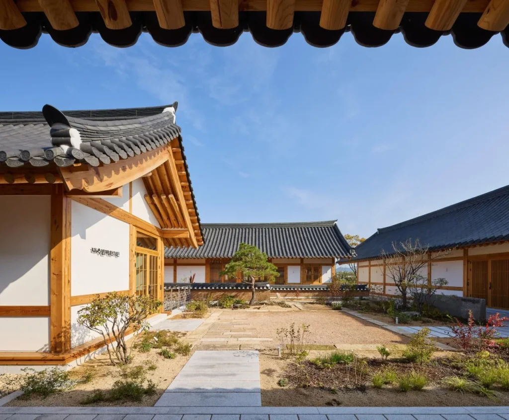 동상이몽 경주 대추밭백한의원 예약하는 방법, 오픈런 성공 후 진료 8 7
