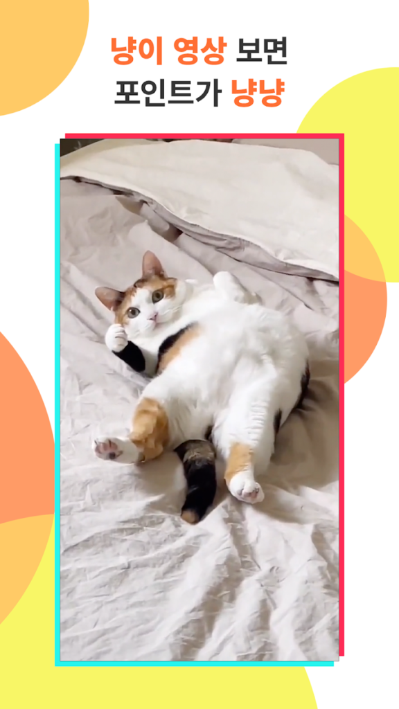틱톡 앱 설치방법, TikTok 12 5 1