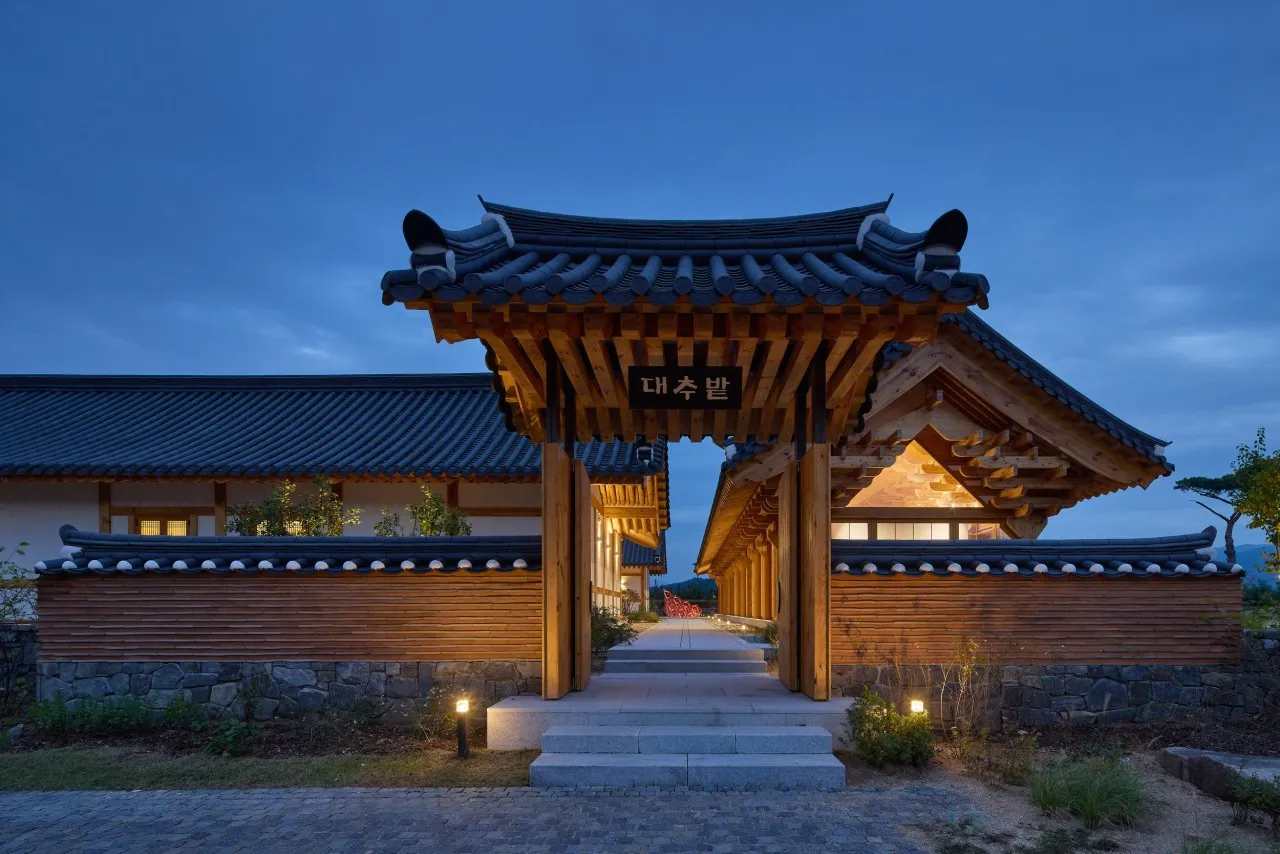 동상이몽 경주 대추밭백한의원