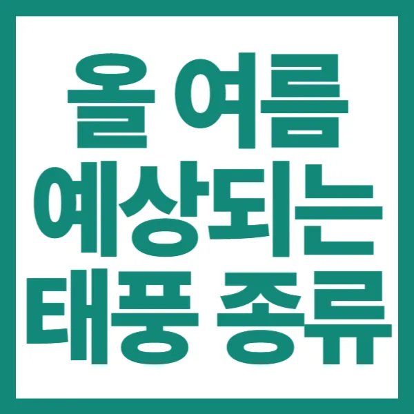 2025년 예상되는 태풍 시기를 알수 있는 방법