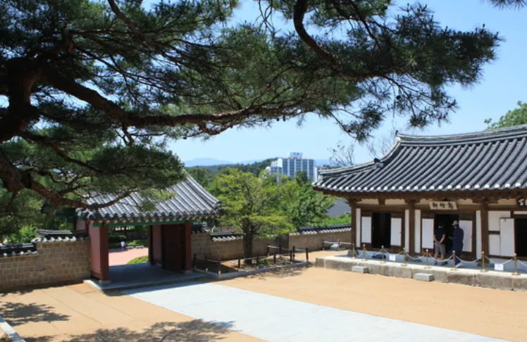 강원도 강릉 꼭 가볼만한곳 추천 5곳 6 화면 캡처 2025 06 28 104522