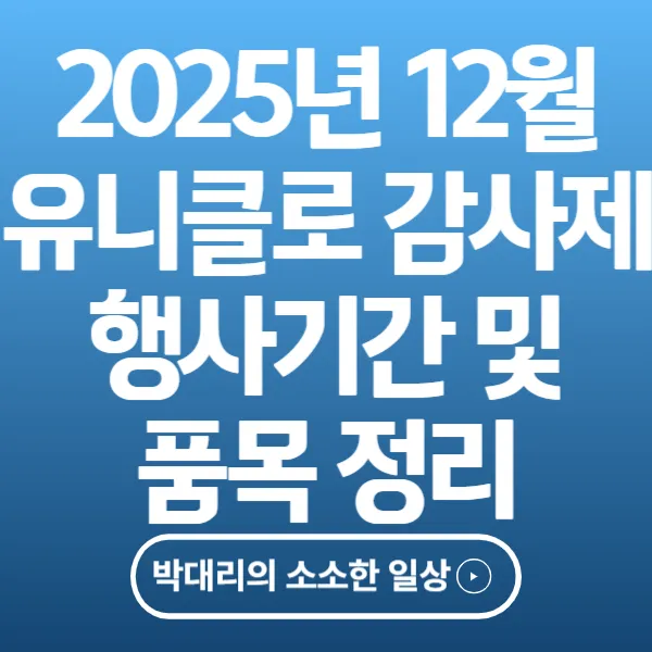 2025년 12월 유니클로 감사제 행사기간 및 품목 정리