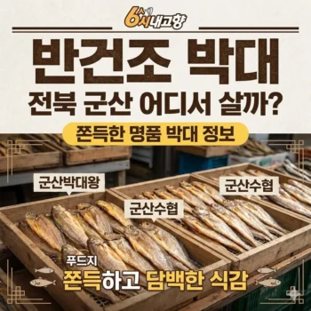 6시내고향 반건조 박대 전북 군산 어디서 살까? 쫀득한 명품 박대 택배 주문 방법