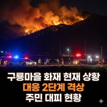구룡마을 화재 현재 상황, 산불로 번져 대응 2단계 격상… 대피 현황은?