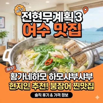 전현무계획3 여수 하모샤부샤부 황가네하모, 현지인 추천 붕장어 맛집 방문 후기 및 가격 정보