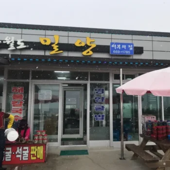 오늘N 지금이 제철이다 굴밥, 칼국수, 활어회 맛집 서산 간월도 밀양 식당 위치 및 상세 정보