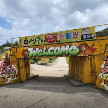 생생정보 강릉쌍둥이동물농장 위치 및 입장료 148만 뷰 유기동물 구조 사연