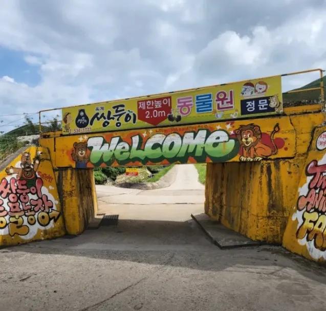 생생정보 강릉쌍둥이동물농장 위치 및 입장료 148만 뷰 유기동물 구조 사연