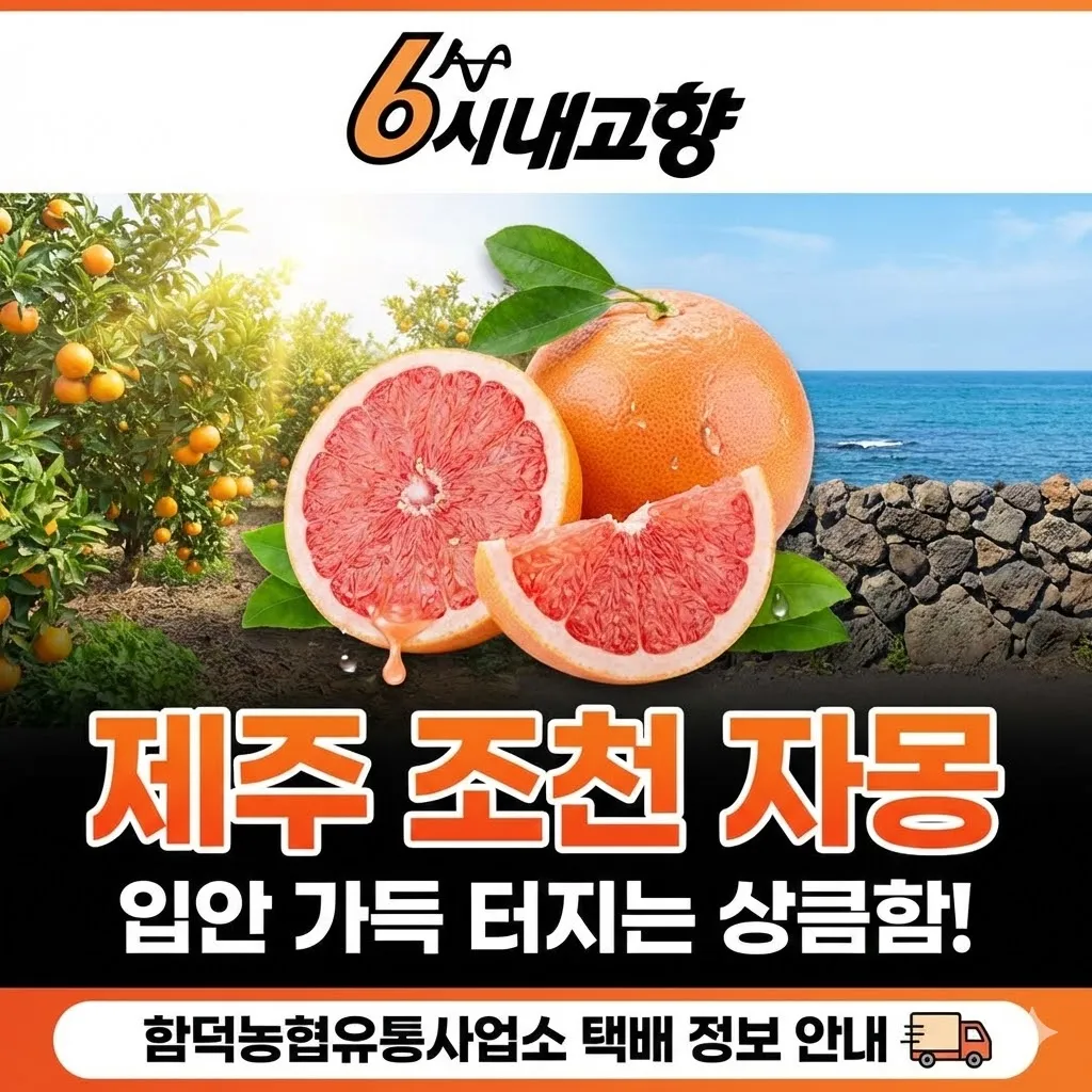 6시내고향 제주 조천 자몽 입안 가득 터지는 상큼함! 함덕농협유통사업소 택배 정보 안내