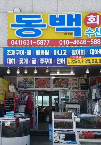 6시 내고향 충남 홍성 새조개 택배 주문 방법 및 남당항 동백회수산 위치 정리