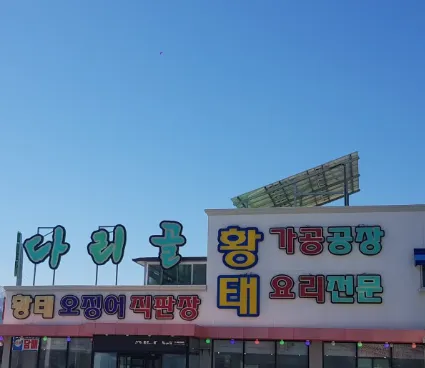 6시내고향 강원 인제 황태 다리골황태덕장, 겨울 바람과 정성이 빚어낸 진정한 명품의 맛