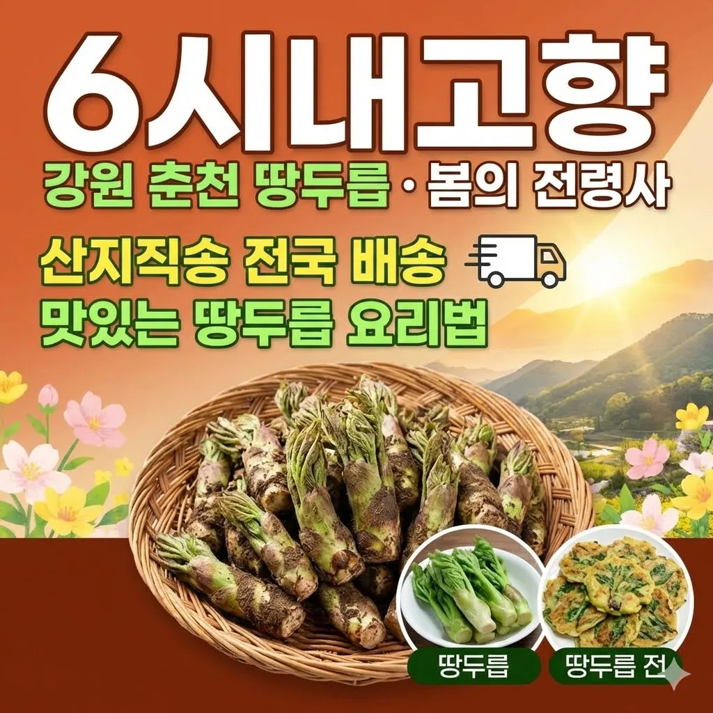 6시내고향 강원 춘천 땅두릅 봄의 전령사 산지직송 전국 배송 및 요리법