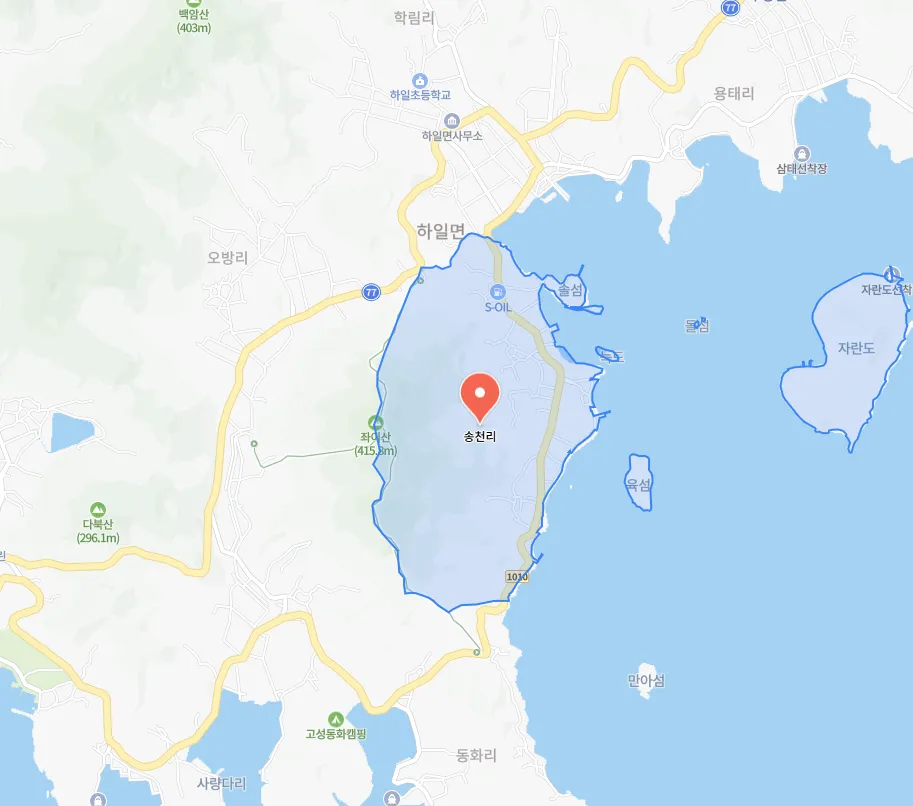 6시내고향 경남 고성 홍가리비, 구자홍 비룡수산의 산지 직송 싱싱한 바다 밥상