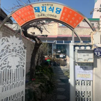 6시내고향 경남 창원 낙지볶음정식 돼지식당 매콤하고 탱글한 진해 로컬의 손맛