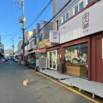 6시내고향 경남 창원 떡 홍시루 진해의 향기를 담은 명품 떡집의 비밀