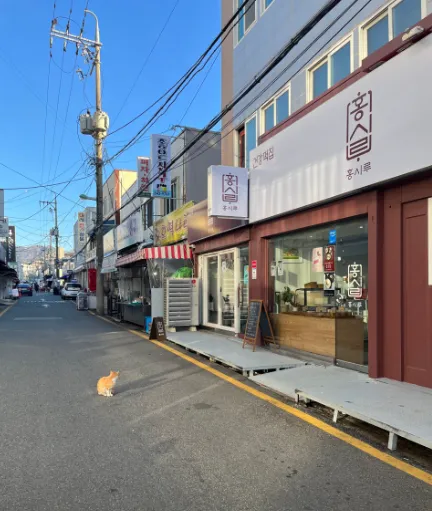 6시내고향 경남 창원 떡 홍시루 진해의 향기를 담은 명품 떡집의 비밀