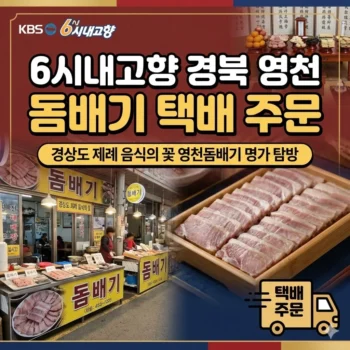 6시내고향 경북 영천 돔배기 택배 주문, 경상도 제례 음식의 꽃 영천돔배기 명가 탐방