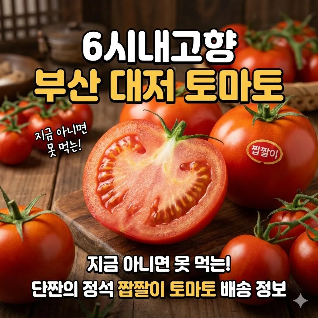 6시내고향 부산 대저 토마토, 지금 아니면 못 먹는 단짠의 정석 짭짤이 토마토 배송 정보