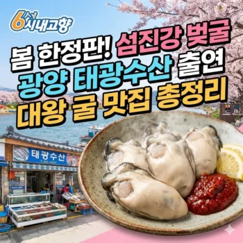 6시내고향 섬진강 벚굴 광양 태광수산 출연, 봄 한정판 대왕 굴 맛집 총정리