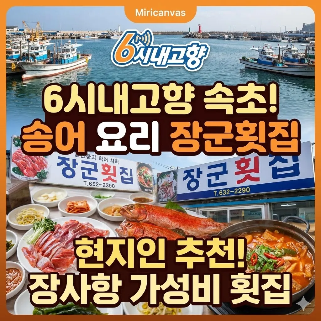 6시내고향 속초 송어 요리 장군횟집, 현지인이 추천하는 장사항 가성비 횟집 추천