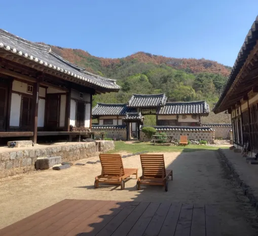 6시내고향 안동 전통숙소 수애당, 고즈넉한 한옥에서 즐기는 진정한 쉼