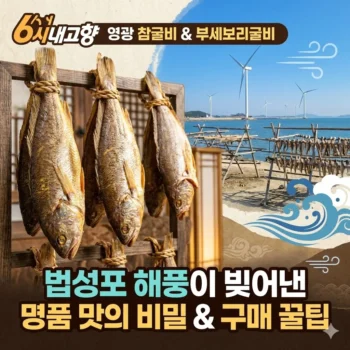 6시내고향 영광 참굴비 세트 부세보리굴비 법성포 해풍이 빚어낸 명품 맛의 비밀과 구매 꿀팁 1