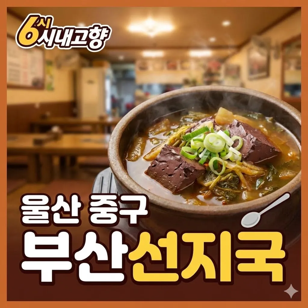 6시내고향 울산 중구 선짓국 부산선지국 전국 택배 가능한 40년 전통 맛집