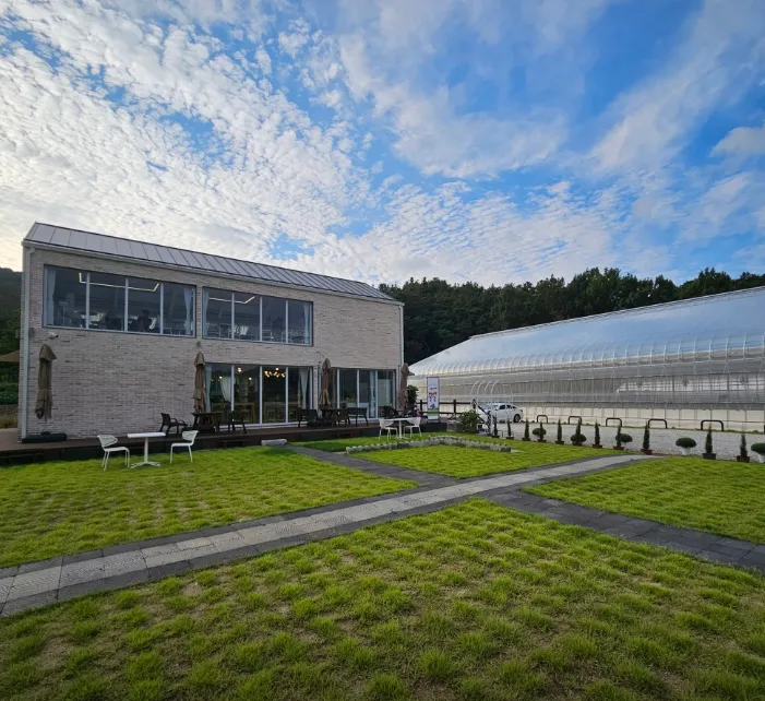 6시내고향 익산 치유농장 체험과 힐링카페 밀새싹힐링팜 위치 정보 안내