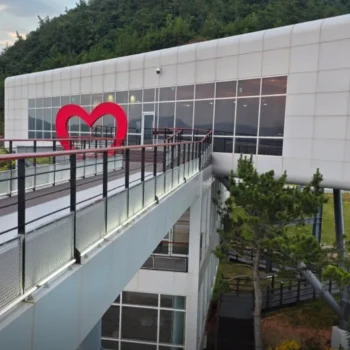 6시내고향 전남 강진 전망대 카페 바다 위에 떠 있는 듯한 환상적인 뷰! 카페 노을 완벽 정리