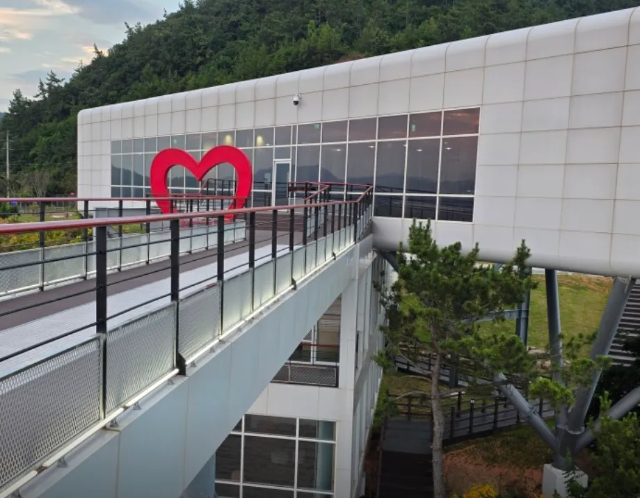 6시내고향 전남 강진 전망대 카페 바다 위에 떠 있는 듯한 환상적인 뷰! 카페 노을 완벽 정리