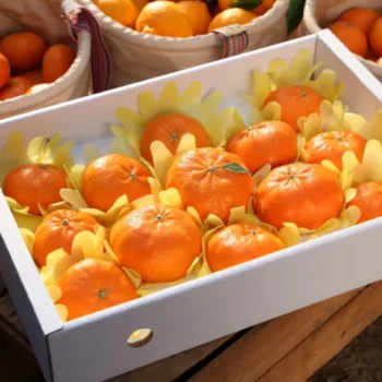 6시내고향 제주 금귤 택배 주문 방법 서귀포 표선 제주안에 가격 및 보관법 정리