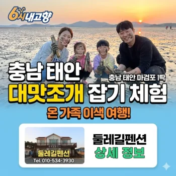 6시내고향 충남 태안 대맛조개 잡기 체험 - 온 가족이 즐기는 마검포 갯벌 이색 여행! 둘레길펜션 상세 정보