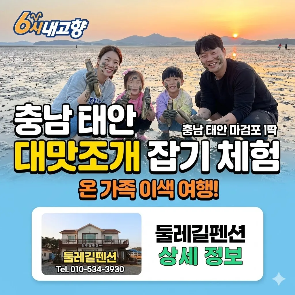 6시내고향 충남 태안 대맛조개 잡기 체험 - 온 가족이 즐기는 마검포 갯벌 이색 여행! 둘레길펜션 상세 정보