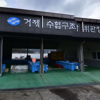 MBC 오늘N 거제 거제수산업협동조합 구조라 위판장 방문 및 이용 정보