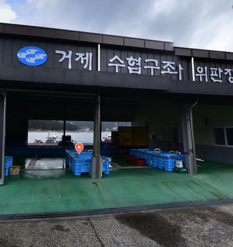 MBC 오늘N 거제 거제수산업협동조합 구조라 위판장 방문 및 이용 정보