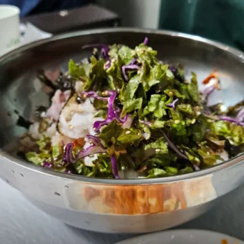 동네한바퀴 속초 물회 가자미튀김 회덮밥 맛집 화진호 이선장네 위치 및 예약 주차 정보 정리