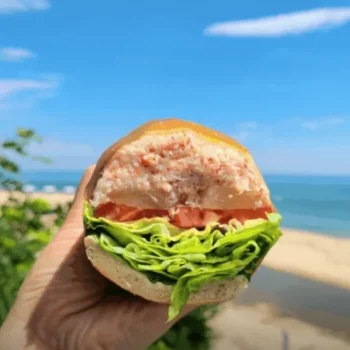 동네한바퀴 속초 홍게샌드위치 맛집 속초751샌드위치 위치 및 가격 예약 정보