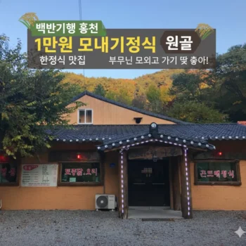백반기행 홍천 1만원 모내기정식 한정식 맛집 원골, 부모님 모시고 가기 딱 좋아!