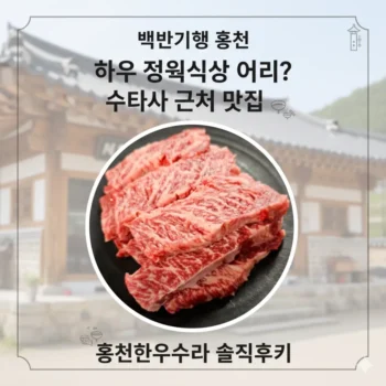 백반기행 홍천 한우 정육식당 어디? 수타사 근처 맛집 홍천한우수라 솔직후기