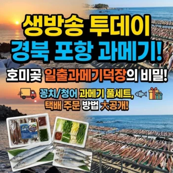 생방송 투데이 경북 포항 과메기! 호미곶 일출과메기덕장의 비밀, 꽁치 과메기, 청어 과메기, 풀세트 등 택배 주문 방법