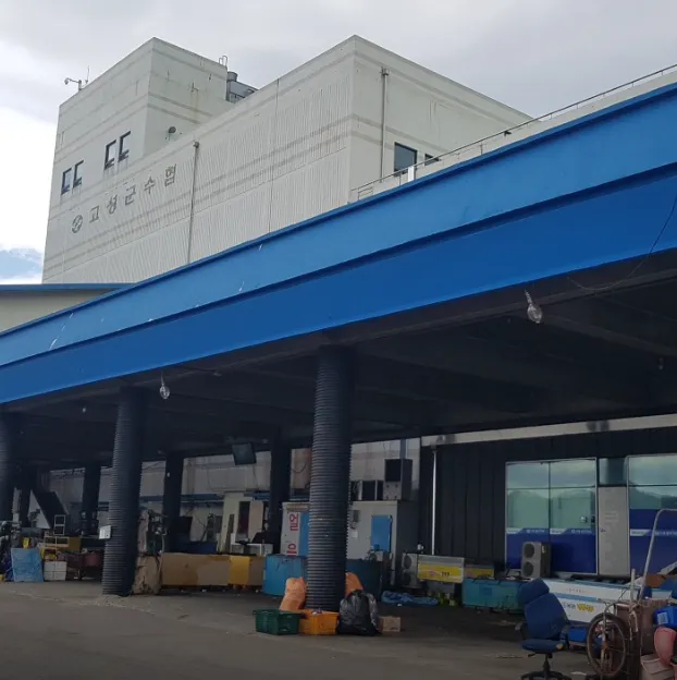 생생정보 강원 고성 참가리비, 동해의 보물을 맛보다! 고성군수산업협동조합 산지 직송의 신선함