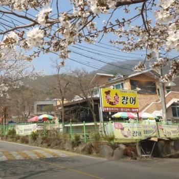 생생정보 남양주 장어, 대장어, 먹장어, 갈비 맛집, 두물장어 배우 이계인의 단골집 위치 및 메뉴 주차 정보 안내