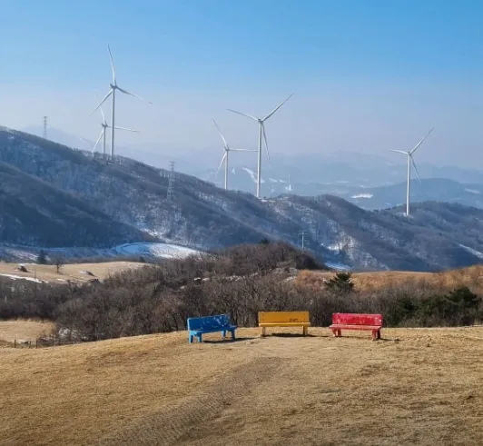 오늘N 강원 평창 눈꽃축제 위치, 하얀 눈의 나라로 초대합니다