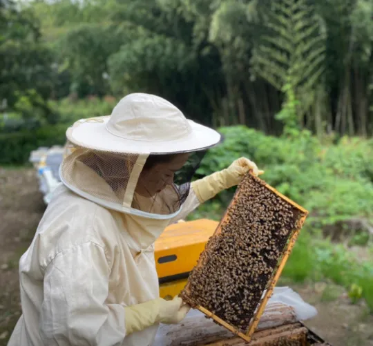 오늘N 영천 꿀벌체험, 오늘N 영천 아리오소 양봉체험장 위치