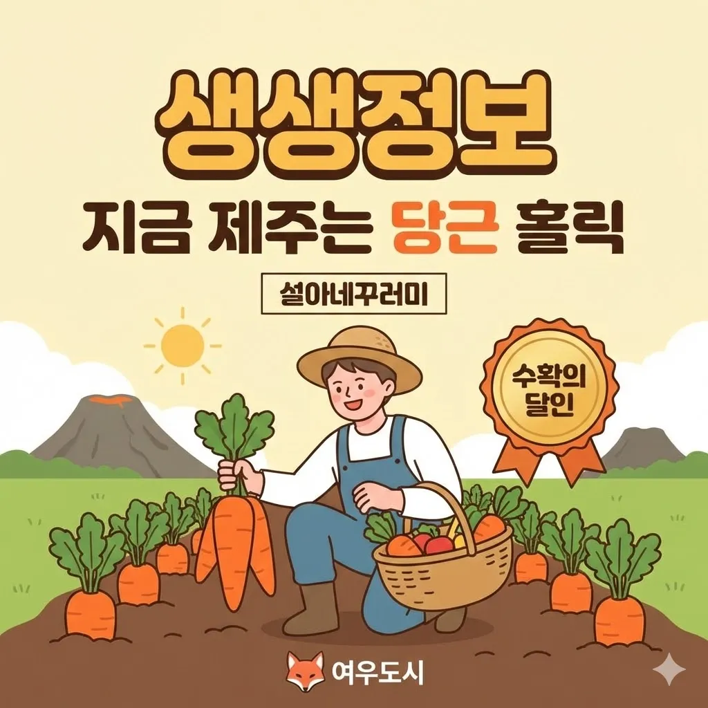 제주 당근 설아네꾸러미 생생정보 지금 제주는 당근 홀릭 방송 '수확의 달인'