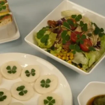 생생정보 네잎클로버 요리 택배 주문 및 연 매출 푸드클로버 25억 성공 비결 정리