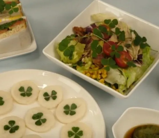 생생정보 네잎클로버 요리 택배 주문 및 연 매출 푸드클로버 25억 성공 비결 정리