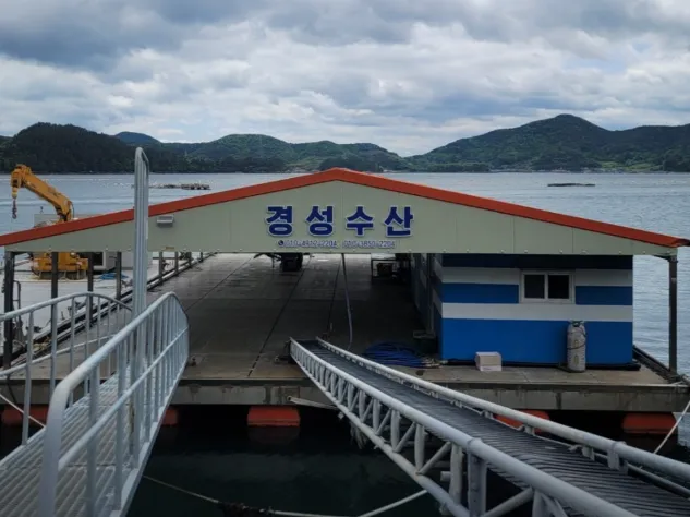 6시내고향 경남 거제 멍게 택배 주문 방법 및 경성수산 가격 위치 총정리